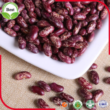 High Quality Heanlthy Red Speckled Kidney Beans